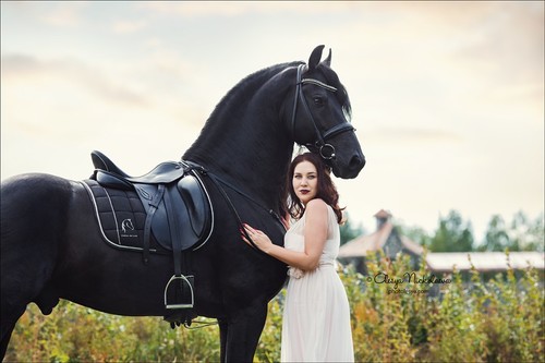  лошади и люди  ◆ horse and human