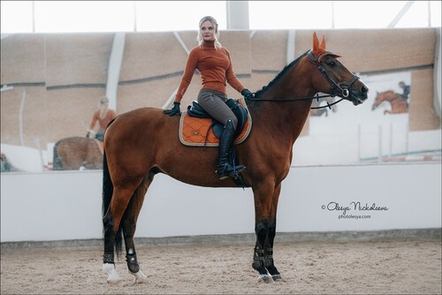  лошади и люди  ◆ horse and human