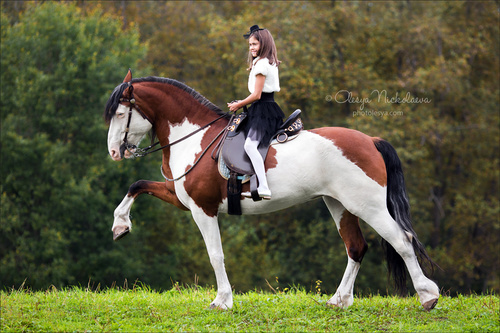  лошади и люди  ◆ horse and human