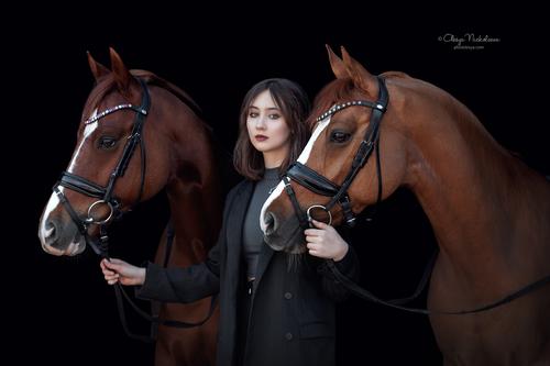  лошади и люди  ◆ horse and human
