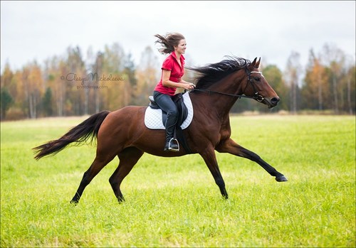  лошади и люди  ◆ horse and human