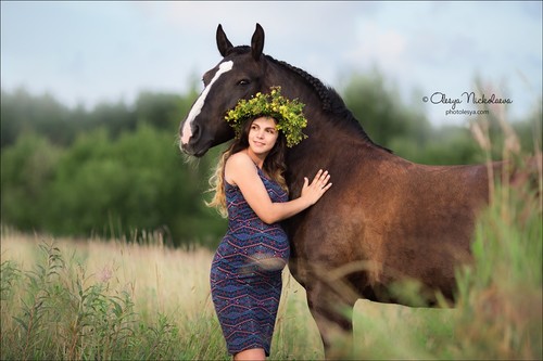  лошади и люди  ◆ horse and human