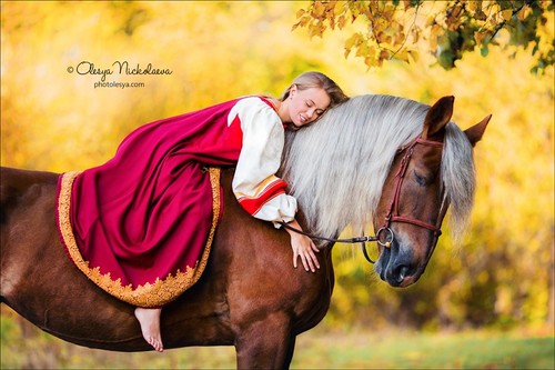  лошади и люди  ◆ horse and human