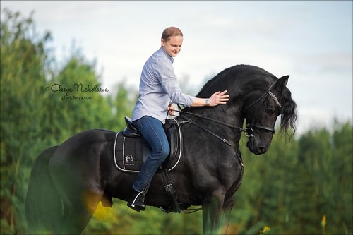  лошади и люди  ◆ horse and human