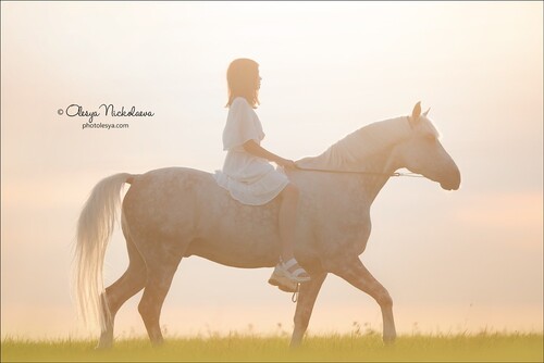  лошади и люди  ◆ horse and human