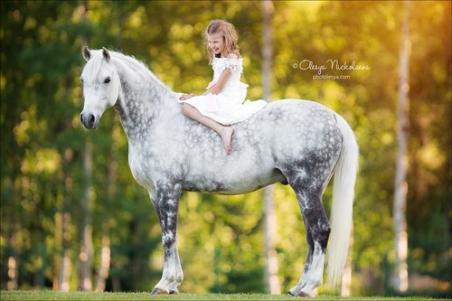  лошади и люди  ◆ horse and human