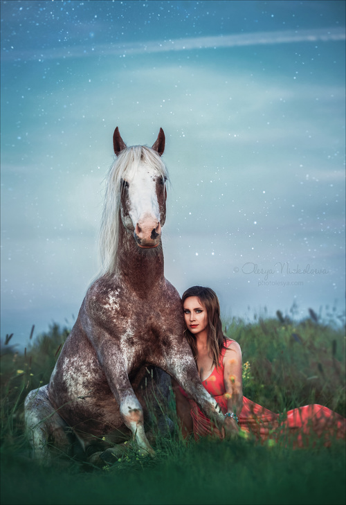  лошади и люди  ◆ horse and human