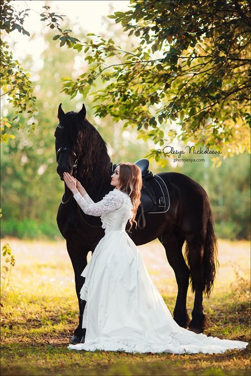 лошади и люди  ◆ horse and human