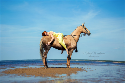 лошади и люди  ◆ horse and human
