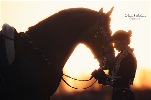  лошади и люди  ◆ horse and human