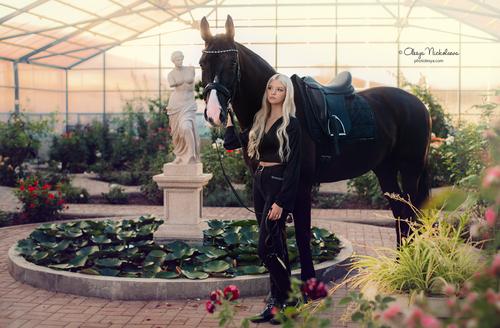  лошади и люди  ◆ horse and human