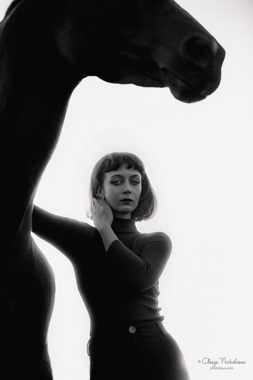  лошади и люди  ◆ horse and human