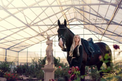  лошади и люди  ◆ horse and human
