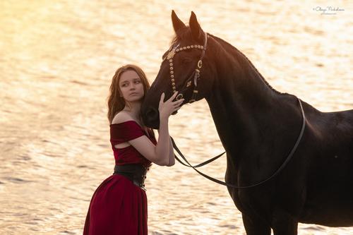  лошади и люди  ◆ horse and human
