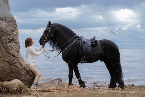  лошади и люди  ◆ horse and human