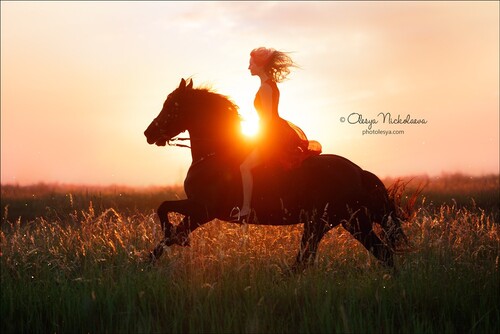  лошади и люди  ◆ horse and human
