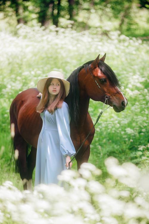  лошади и люди  ◆ horse and human