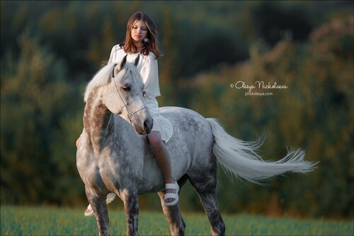  лошади и люди  ◆ horse and human