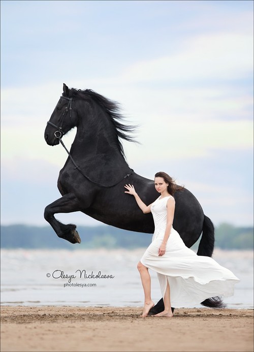  лошади и люди  ◆ horse and human