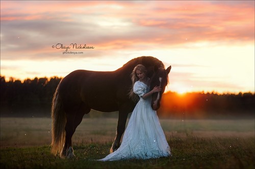  лошади и люди  ◆ horse and human