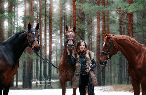  лошади и люди  ◆ horse and human