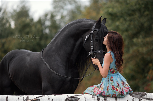  лошади и люди  ◆ horse and human