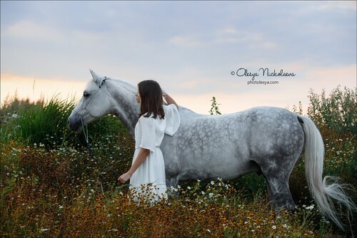  лошади и люди  ◆ horse and human