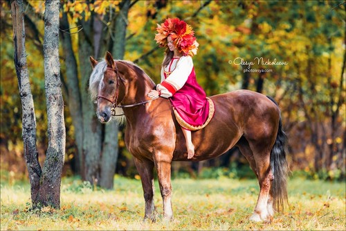  лошади и люди  ◆ horse and human