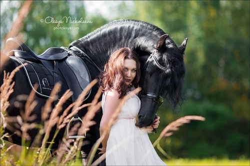  лошади и люди  ◆ horse and human