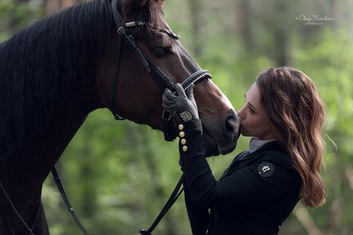  лошади и люди  ◆ horse and human