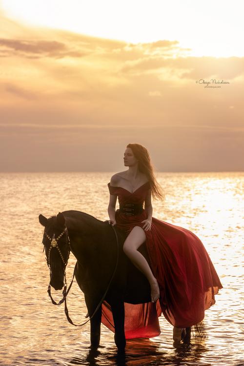  лошади и люди  ◆ horse and human
