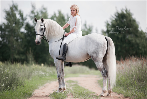  лошади и люди  ◆ horse and human