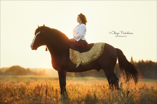  лошади и люди  ◆ horse and human