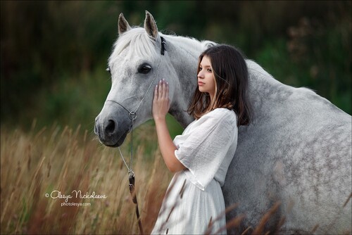  лошади и люди  ◆ horse and human