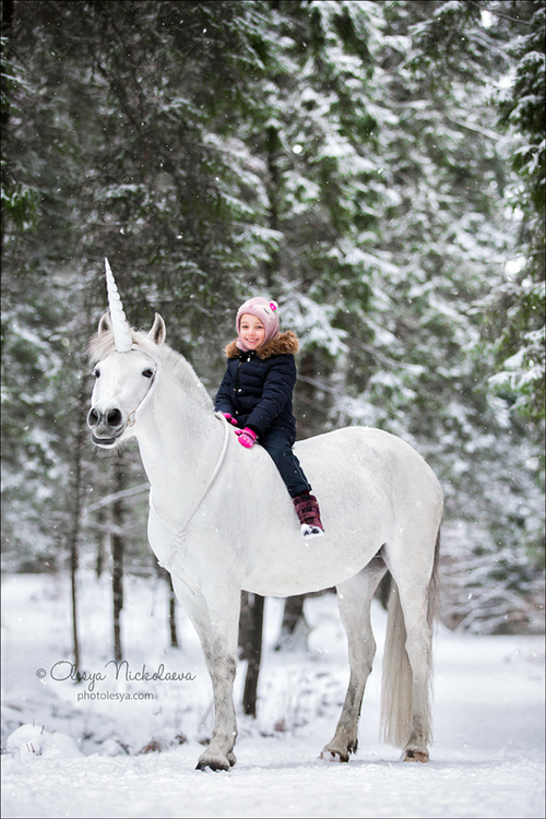  лошади и люди  ◆ horse and human