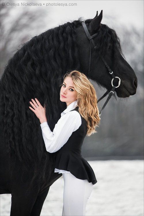  лошади и люди  ◆ horse and human