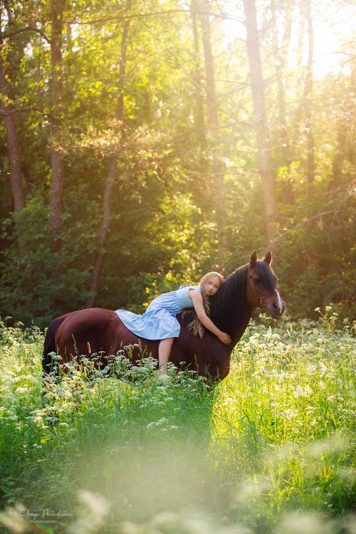  лошади и люди  ◆ horse and human