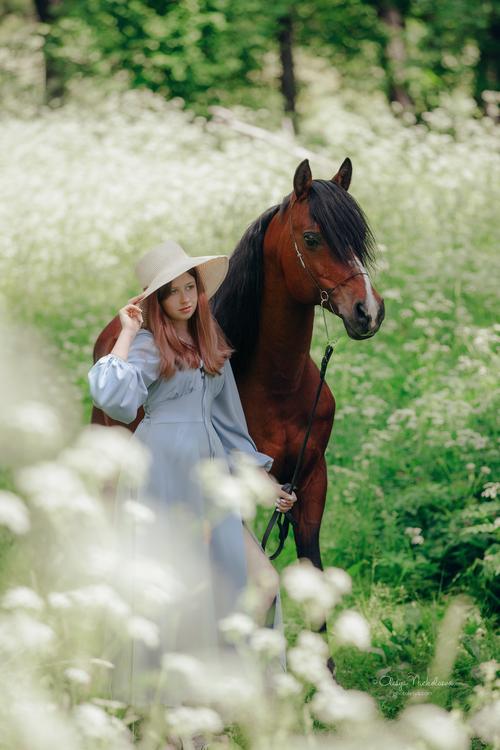  лошади и люди  ◆ horse and human