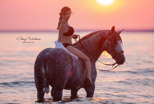  лошади и люди  ◆ horse and human