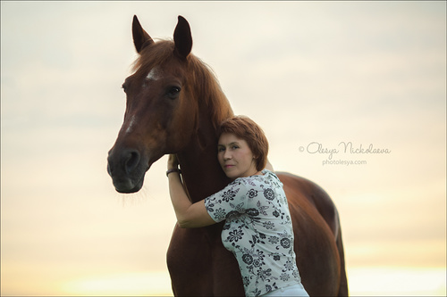  лошади и люди  ◆ horse and human
