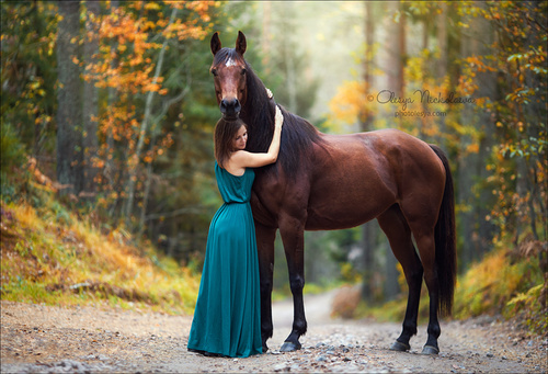  лошади и люди  ◆ horse and human