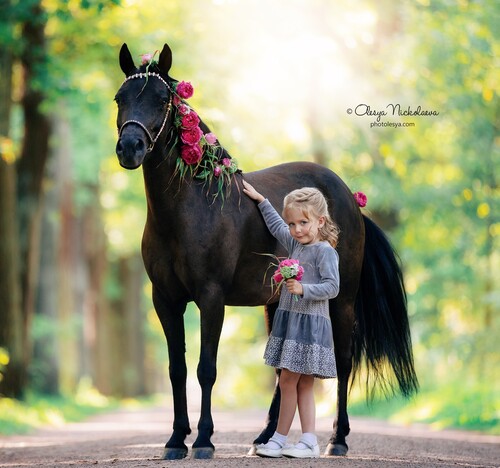  лошади и люди  ◆ horse and human