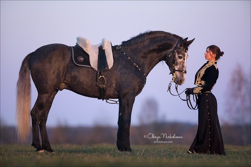  лошади и люди  ◆ horse and human