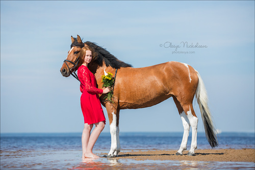  лошади и люди  ◆ horse and human