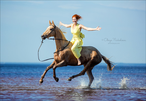  лошади и люди  ◆ horse and human
