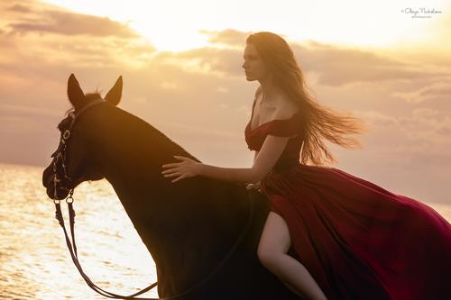  лошади и люди  ◆ horse and human