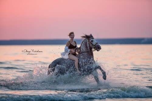  лошади и люди  ◆ horse and human