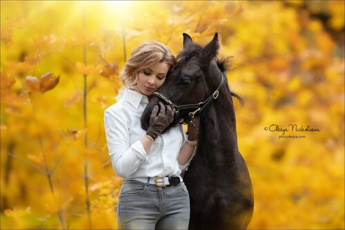  лошади и люди  ◆ horse and human