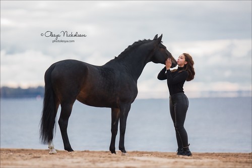  лошади и люди  ◆ horse and human