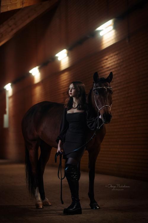  лошади и люди  ◆ horse and human